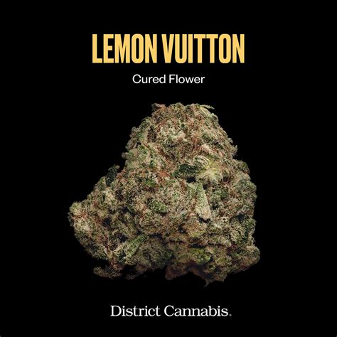 lemon vuitton weed strain